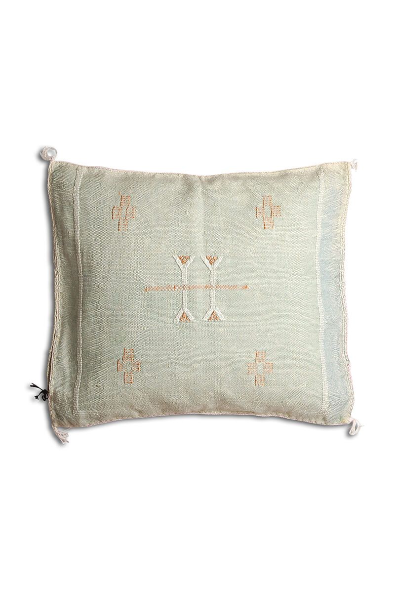 Cactus silk pillow