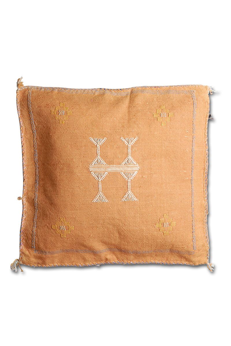 Cactus silk pillow