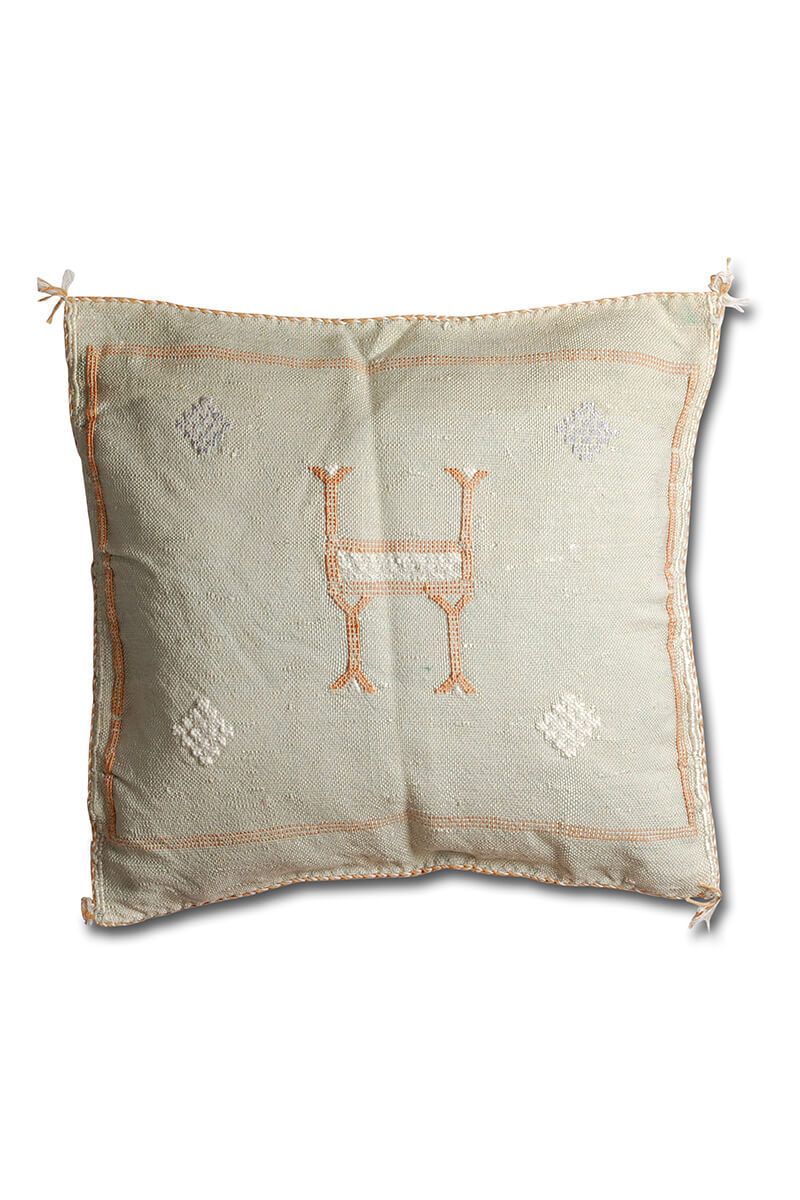 Cactus silk pillow